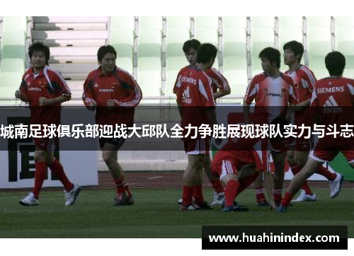 城南足球俱乐部迎战大邱队全力争胜展现球队实力与斗志